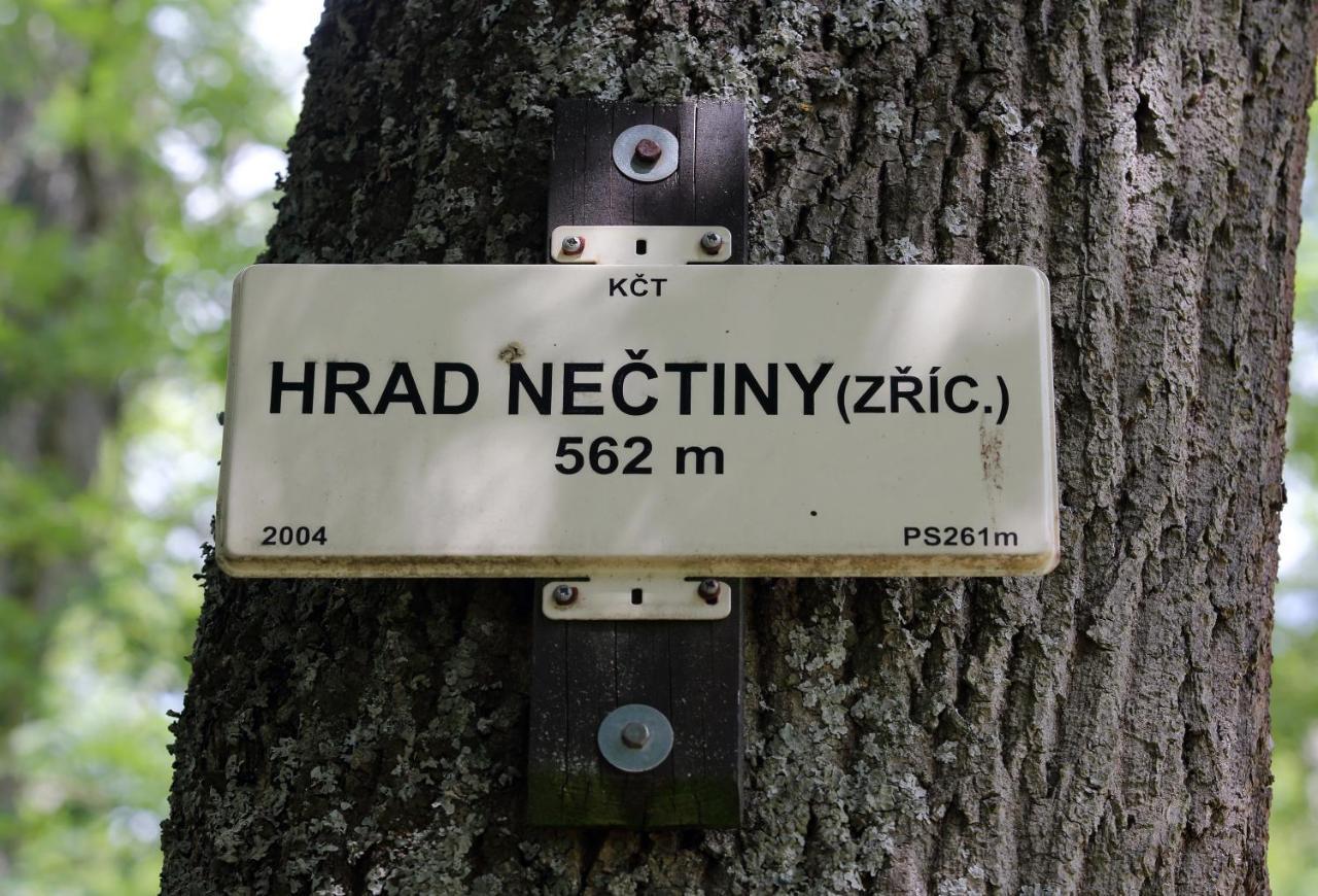 Zamek Nectiny Hotel Kültér fotó